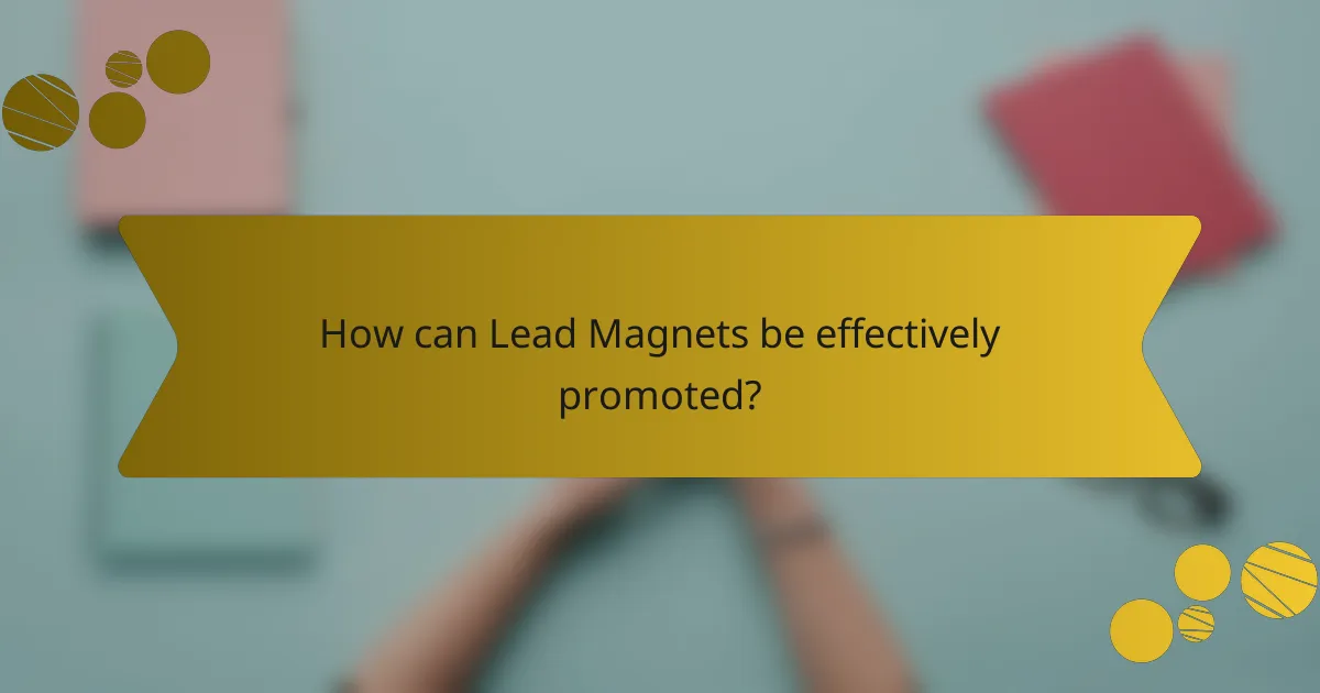 How can Lead Magnets be effectively promoted?