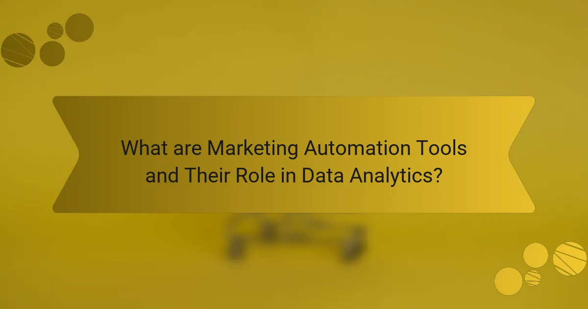 What are Marketing Automation Tools and Their Role in Data Analytics?